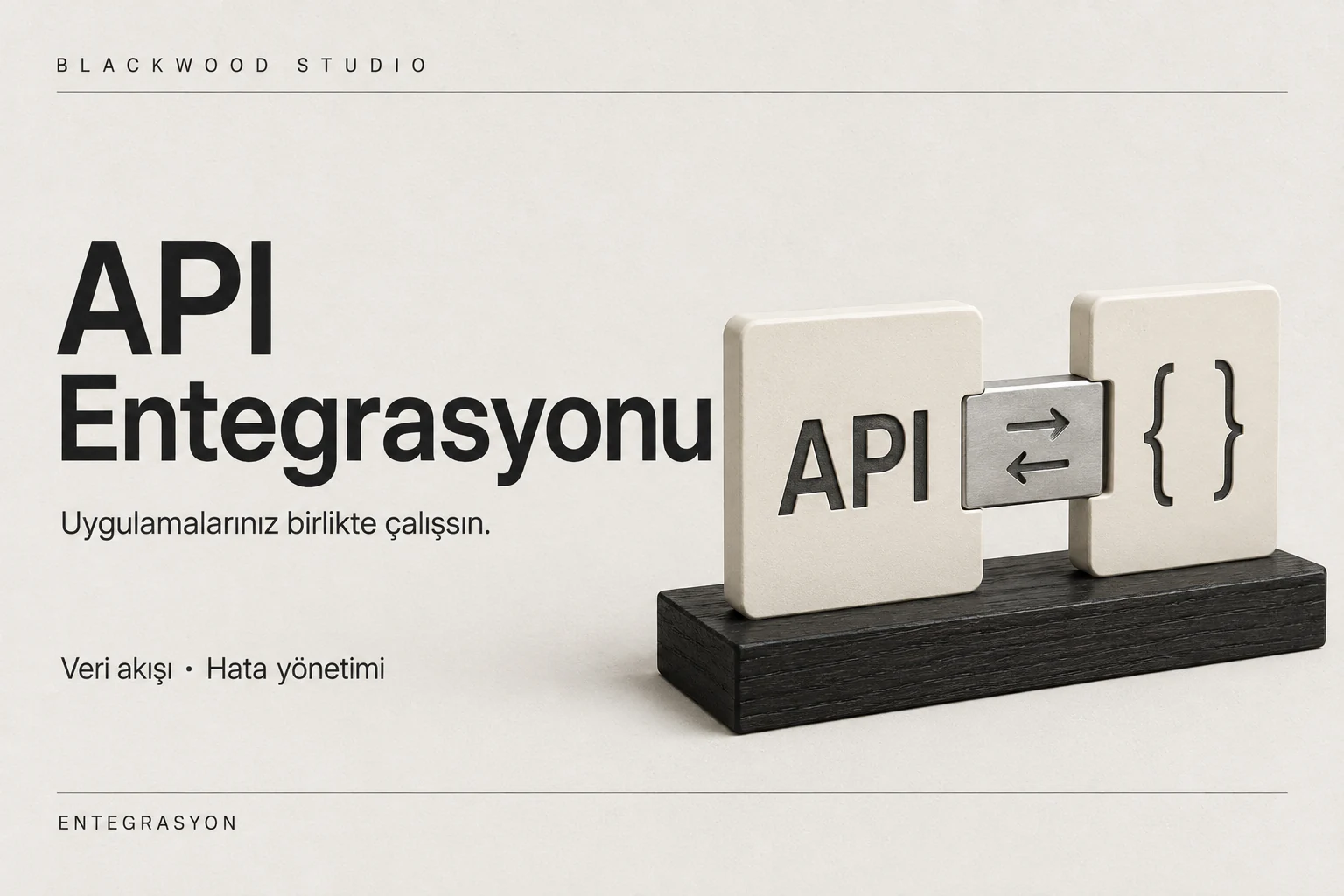 API Entegrasyonu hizmet görseli